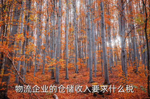 倉儲物流公司繳納什么稅，我是會計新手 請問各位師傅們物流公司應(yīng)繳納什么稅