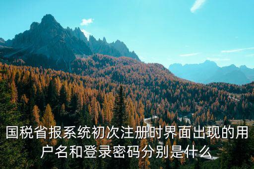 河南省國(guó)稅申報(bào)系統(tǒng)帳號(hào)是什么，請(qǐng)問(wèn)國(guó)稅申報(bào)用戶號(hào)是什么密碼又是什么