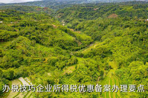 稅收優(yōu)惠事項(xiàng)備案項(xiàng)目是什么，企業(yè)所得稅需備案的事項(xiàng)包括哪些