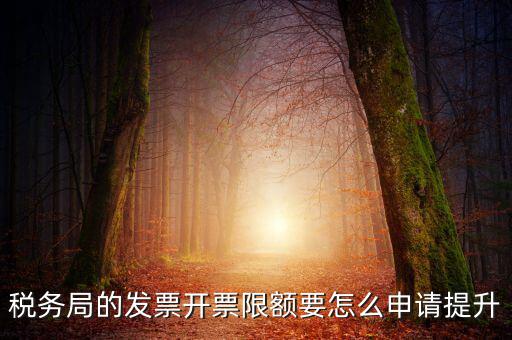 提高開票限額申請(qǐng)需要什么資料，去稅務(wù)局增大公司的開票限額需要帶些什么我公司第一次開票去申