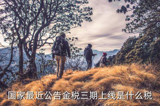金稅三期從什么上線，國家最近公告金稅三期上線是什么稅