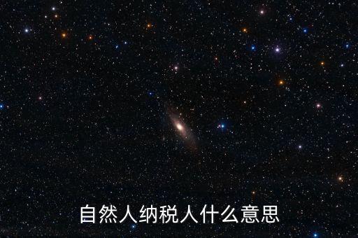 登記稅務(wù)的自然人是什么意思，請問一下自然人登記是什么意思