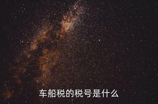 車船稅的稅號是什么