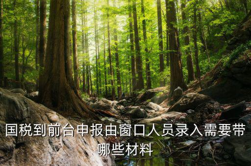 安徽去窗口申報稅需要帶什么材料，申報增值稅要拿什么材料去