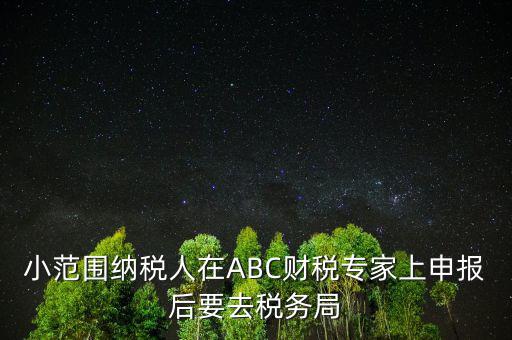 財稅專家是報什么稅，小范圍納稅人在ABC財稅專家上申報后要去稅務(wù)局