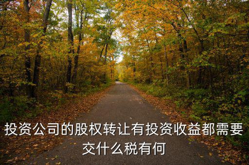 投資公司要交什么稅，投資集團公司如何繳稅