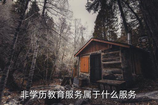 非學(xué)歷教育服務(wù)入賬做什么，非學(xué)歷教育咨詢費(fèi)能入賬嗎