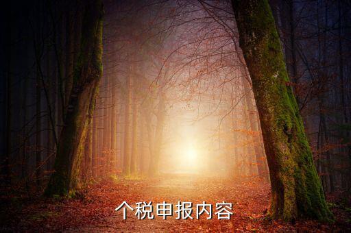 個稅申報(bào)內(nèi)容