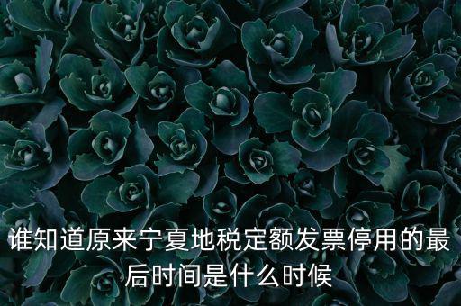地稅的發(fā)票什么時(shí)候不能用，誰知道原來寧夏地稅定額發(fā)票停用的最后時(shí)間是什么時(shí)候
