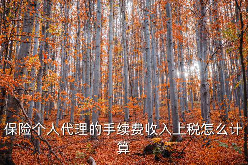 保險代理員交什么稅，請問從車輛保險代理人的提承里扣的稅是什么稅啊