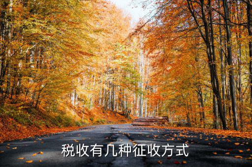 稅務(wù)征非稅采取什么方式，稅務(wù)征收有哪幾種