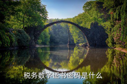 數(shù)字證書的密碼是什么東西，證書卡號(hào)證書密碼是什么