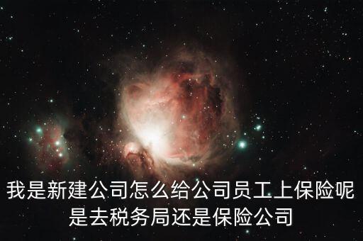 稅務局保險是什么，稅務局讓企業(yè)交得規(guī)費和參保費是什么