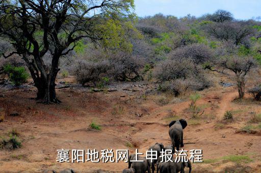 襄陽地稅網上申報流程