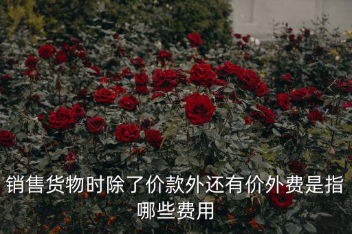 什么叫價外費(fèi)用，屬于價外費(fèi)用的是什么