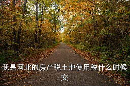 河北地稅申報(bào)后什么時(shí)候繳費(fèi)，我是河北的房產(chǎn)稅土地使用稅什么時(shí)候交
