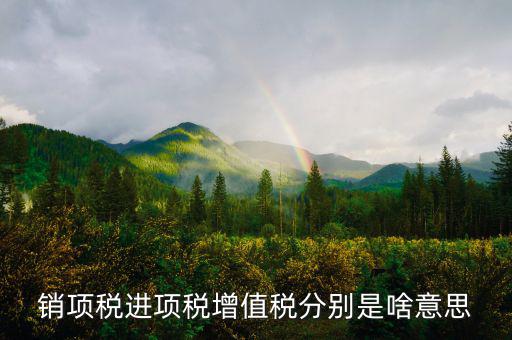 什么是銷項和進(jìn)項，進(jìn)項稅和銷項稅是什么意思