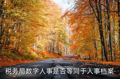 數(shù)字人事國(guó)稅是什么，數(shù)字人事第一段怎么劃分