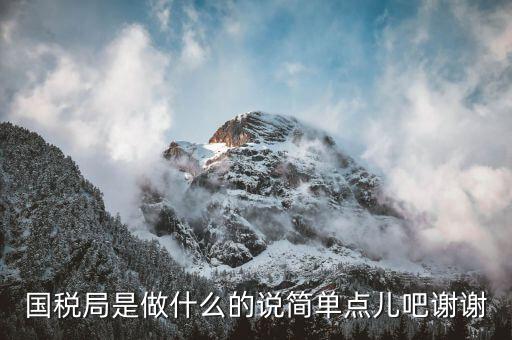 濰坊市國稅局是什么，國稅局的具體解釋是什么