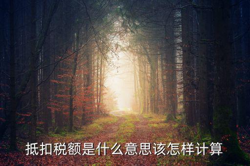 抵免稅額是什么意思，抵扣稅額是什么意思該怎樣計算