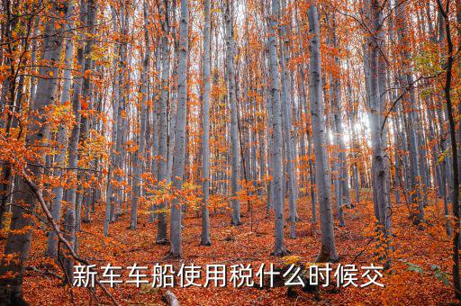 新車什么時(shí)候交車船稅，新車車船使用稅什么時(shí)候交