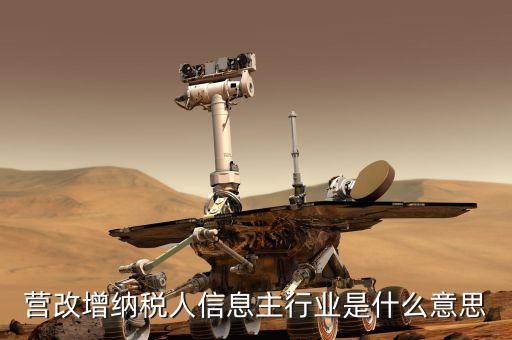 國(guó)稅主行業(yè)都是什么意思，營(yíng)改增納稅人信息主行業(yè)是什么意思