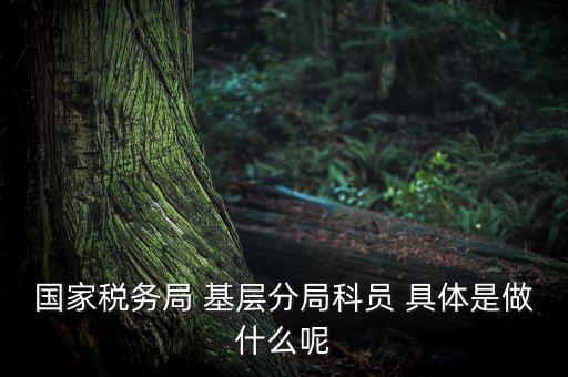 國地稅征管改革黨員干部干什么，國家稅務(wù)局 基層分局科員 具體是做什么呢