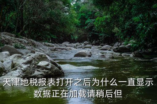 天津地稅為什么，天津地稅報表打開之后為什么一直顯示數(shù)據(jù)正在加載請稍后但