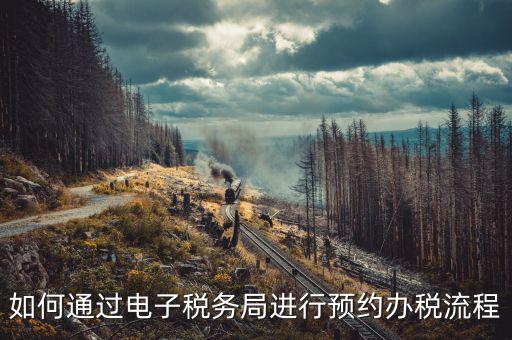 國稅局預(yù)約有什么，拿金稅盤去國稅前臺(tái)弄要預(yù)約嗎
