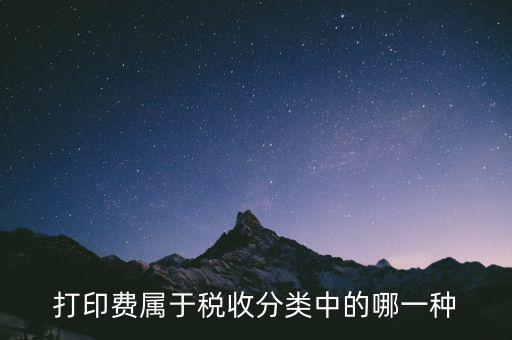 打字復(fù)印是什么稅種，我在鄉(xiāng)鎮(zhèn)辦了一家打字復(fù)印店請問需交納哪些稅