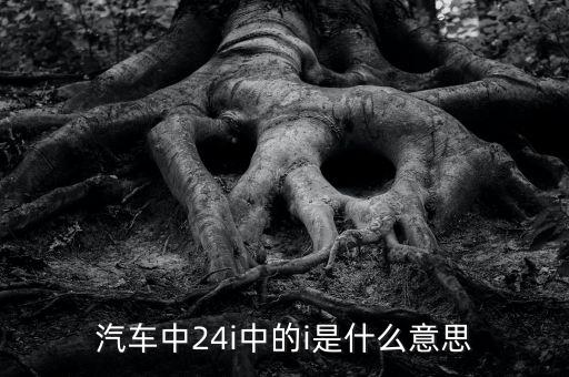 小車(chē)船i代表什么意思，汽車(chē)中24i中的i是什么意思