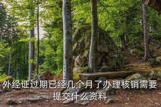 外經(jīng)證過(guò)期已經(jīng)幾個(gè)月了辦理核銷需要提交什么資料