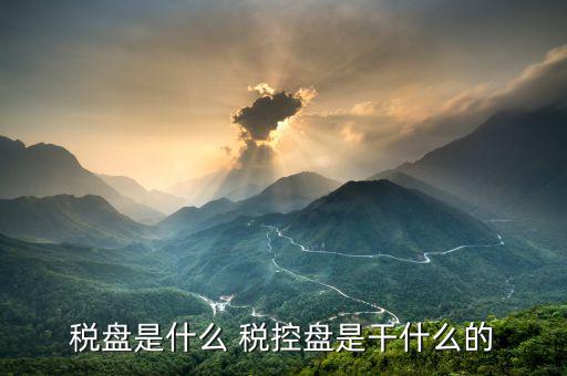 億企贏稅盤是什么，稅盤是什么 稅控盤是干什么的
