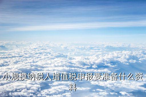 小規(guī)模納稅人申報(bào)需要什么資料，小規(guī)模納稅人上門申報(bào)需提供些什么資料
