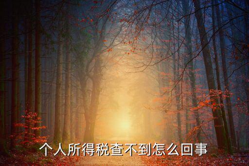 個人所得稅扣減為什么查不到，個人所得稅為什么不能在網(wǎng)上查找