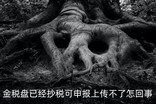 金稅盤已經抄稅可申報上傳不了怎回事
