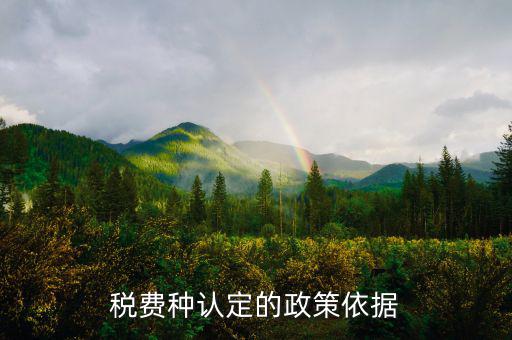 什么是稅費(fèi)種認(rèn)定信息查詢，稅費(fèi)種認(rèn)定信息在哪里查看