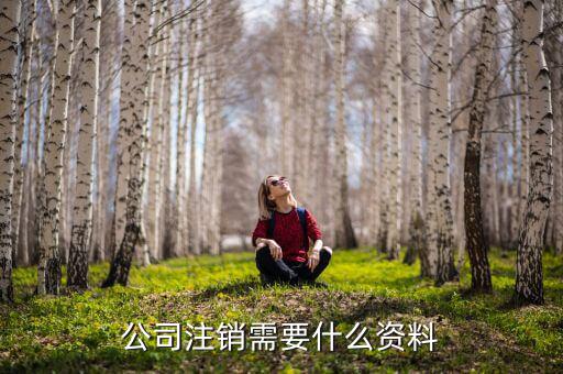 企業(yè)注銷需提供什么資料，公司注銷需要哪些資料