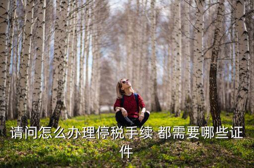 停供發(fā)票需要注意什么手續(xù)，停國稅要怎么辦理 要什么手續(xù)