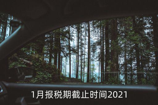 1月份地稅什么時候申報，報稅一般都是每個月什么時候報稅