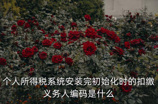 扣繳人義無編碼是什么，扣繳義務(wù)人編碼是什么