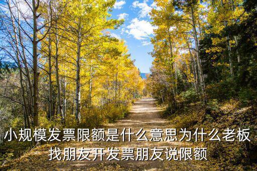 發(fā)票機(jī)為什么限額，稅控機(jī)顯示發(fā)票超出累計限額是什么原因