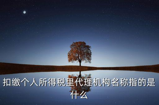扣繳個人所得稅里代理機構(gòu)名稱指的是什么