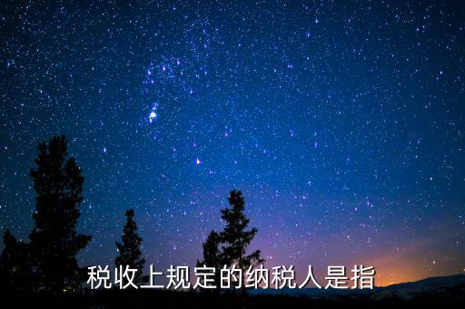 什么人是納稅人，納稅人的定義的什么