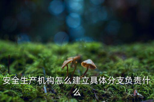 什么是三級分支機構(gòu)，英語三級發(fā)證機構(gòu)是什么
