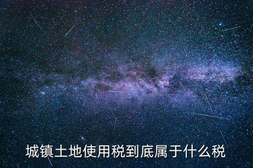 城鎮(zhèn)土地使用稅屬于什么稅種，城鎮(zhèn)土地使用稅到底屬于什么稅