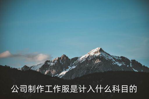 工作服屬于什么稅收分類(lèi)編碼，稅控上商品和服務(wù)稅收分類(lèi)編碼怎么填