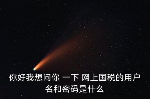 稅務(wù)登記密碼是什么，國稅第一次網(wǎng)上申報的登陸密碼是什么