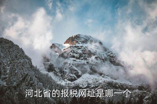 河北稅務(wù)官網(wǎng)是什么，怎么打開河北省國稅網(wǎng)站