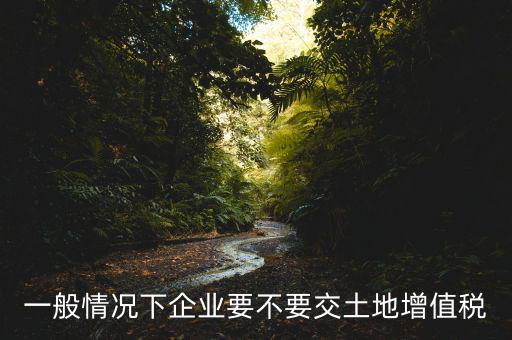 什么企業(yè)交土地增值稅，一般情況下企業(yè)要不要交土地增值稅